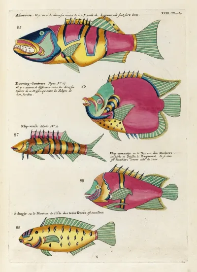 Poissons Ecrevisses Et Crabes De Diverses Couleurs Et Figures Extraordinaires Pl 061
