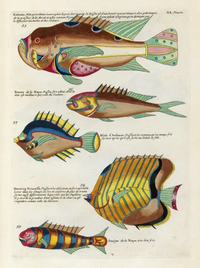 Poissons Ecrevisses Et Crabes De Diverses Couleurs Et Figures Extraordinaires Pl 063