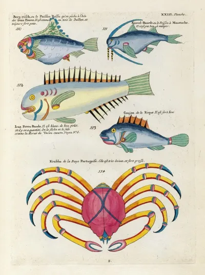 Poissons Ecrevisses Et Crabes De Diverses Couleurs Et Figures Extraordinaires Pl 066