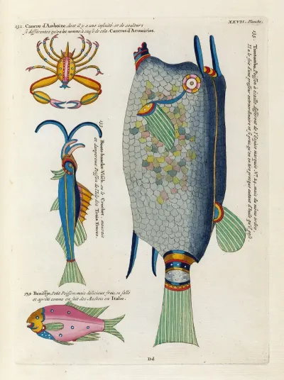 Poissons Ecrevisses Et Crabes De Diverses Couleurs Et Figures Extraordinaires Pl 070