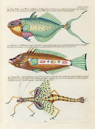 Poissons Ecrevisses Et Crabes De Diverses Couleurs Et Figures Extraordinaires Pl 076