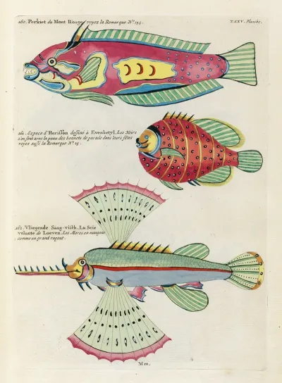Poissons Ecrevisses Et Crabes De Diverses Couleurs Et Figures Extraordinaires Pl 078