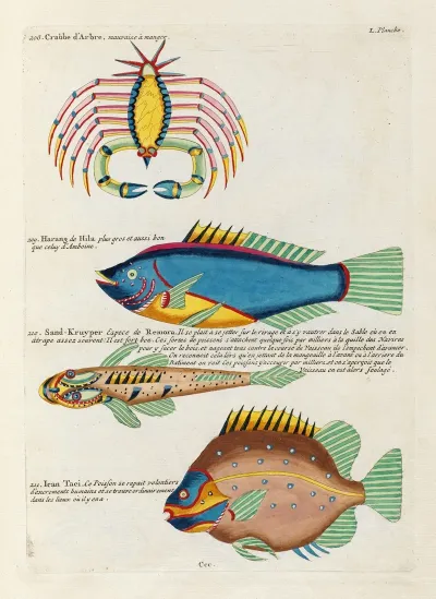 Poissons Ecrevisses Et Crabes De Diverses Couleurs Et Figures Extraordinaires Pl 093
