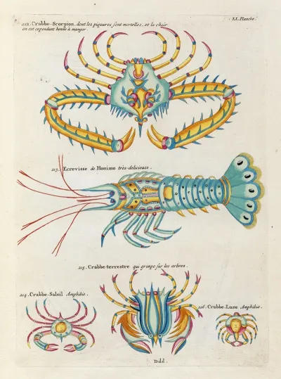 Poissons Ecrevisses Et Crabes De Diverses Couleurs Et Figures Extraordinaires Pl 094