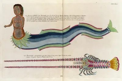 Poissons Ecrevisses Et Crabes De Diverses Couleurs Et Figures Extraordinaires Pl 100