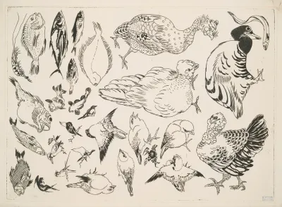 Poissons Oiseaux Poussin