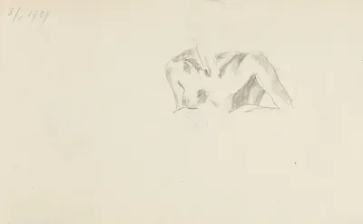 Polakt Kobiecy Szkic