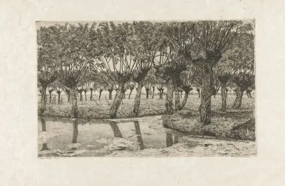 Polderlandschap Met Knotwilgen