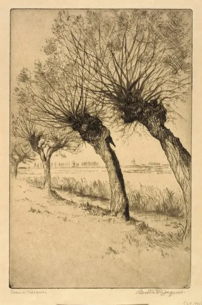 Pollard Willows Rijsord Holland