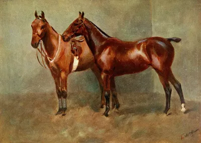 Polo Ponies Romany And Tith Owned By Sir J Barker