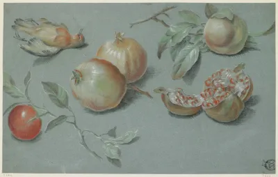 Pomegranates And Dead Bird