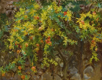 Pomegranates Majorca
