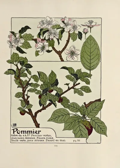 Pommier