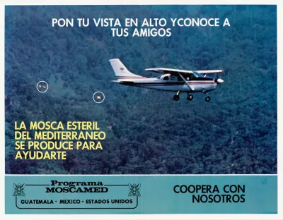 Pon Tu Vista En Alto Yconoce A Tus Amigos Programa Moscamed Guatemala Mexico Estados Unidos