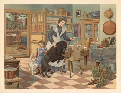 Poodle 4