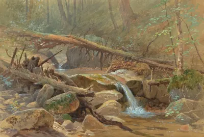 Pool In The Woods