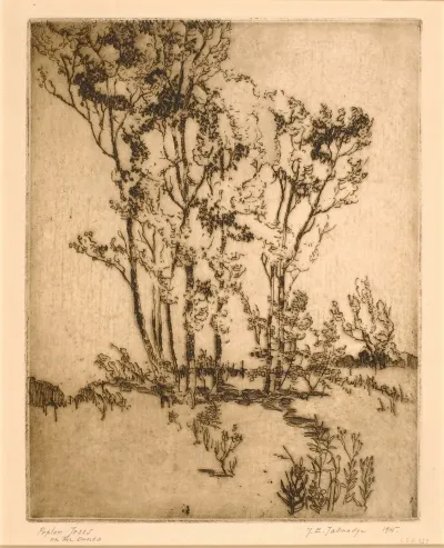 Poplar Trees