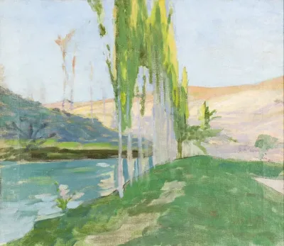 Poplars Growing Near A Watercourse