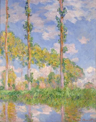 Poplars In The Sun