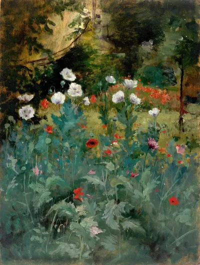 Poppies 6