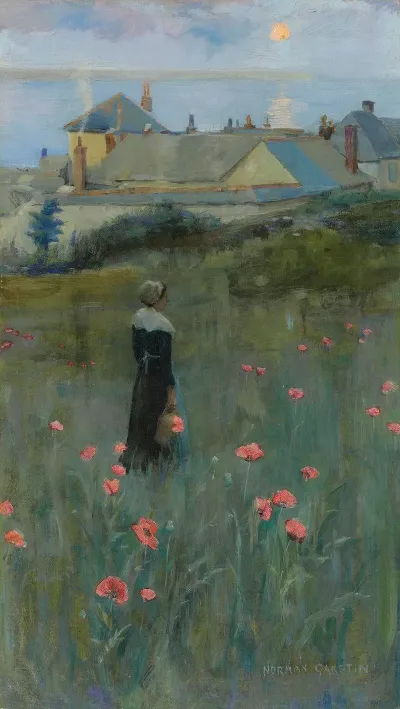 Poppies 9