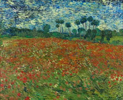 Poppy Field 3