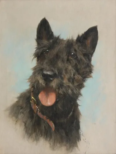 Portrait Of A Scottish Terrier