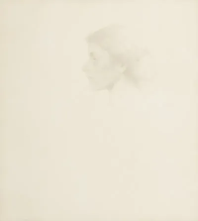 Portrait Of A Woman 356