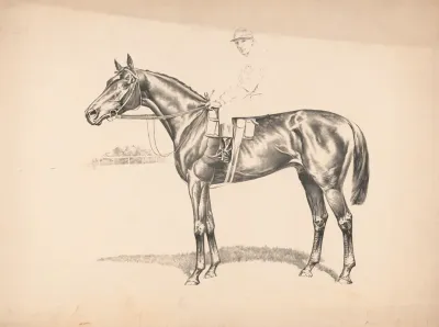 Portrait Of Race Horse And Mounted Jockey 2