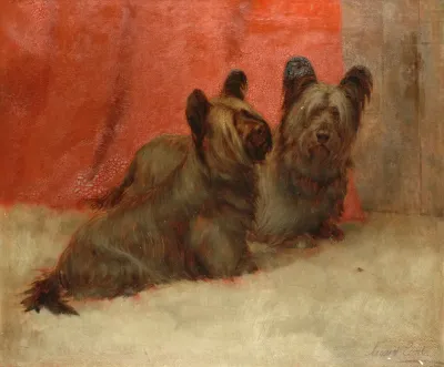 Portrait Of Two Skye Terriers