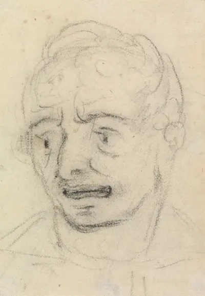 Portrait Study Of A Mans Facial Expression