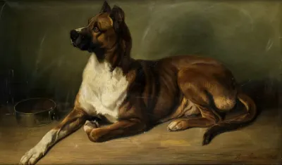 Portrat Eines Hundes
