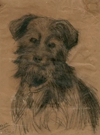 Portret Van Een Hond