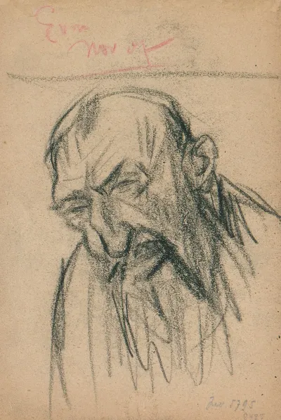 Portret Van Een Man Met Baard En Kromme Neus In Vooraanzicht