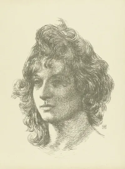 Portret Van Jonge Vrouw