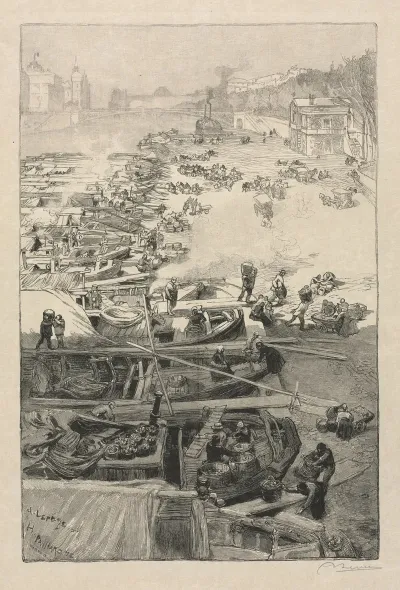 Potatoes Arriving At The Hotel De Ville