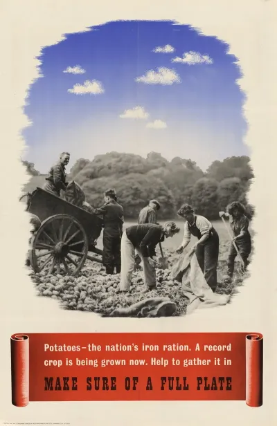 Potatoes The Nations Iron Ration