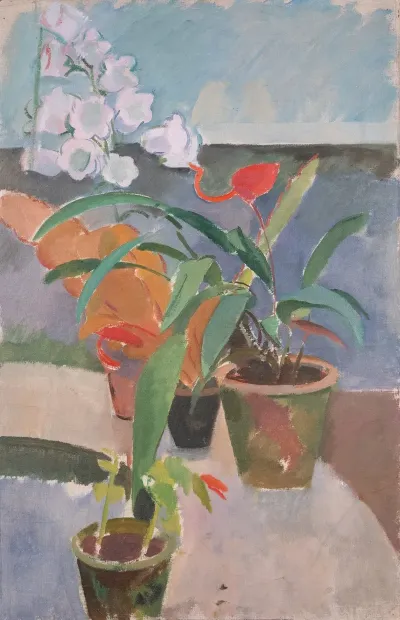 Potted Plants