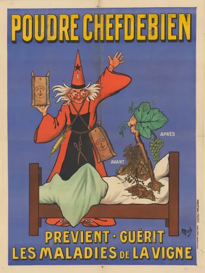 Poudre Chefdebien Previent Guerit Les Maladies De La Vigne
