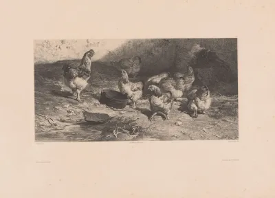 Poules Cochinchinoises