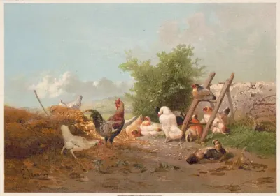 Poultry Life