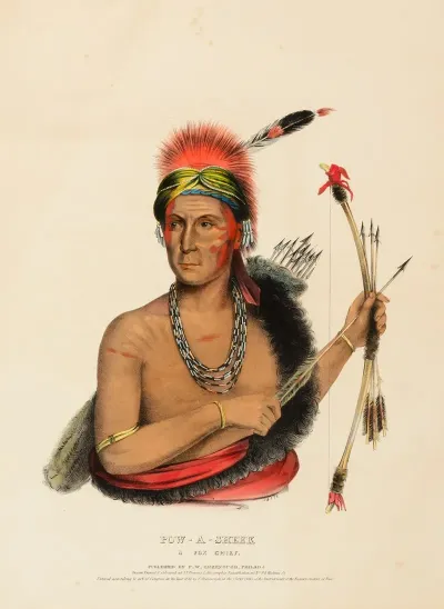 Pow A Sheek A Fox Chief