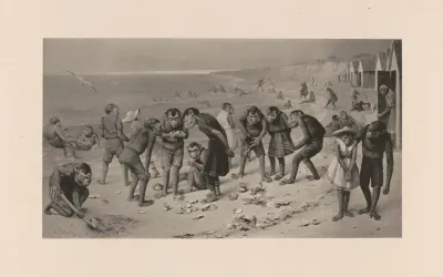 Pre Historic Newport