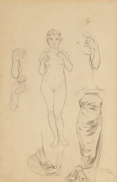 Preliminary Design For The Rose