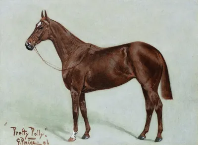 Pretty Polly