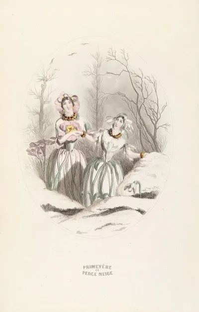 Primevere Et Perce Neige