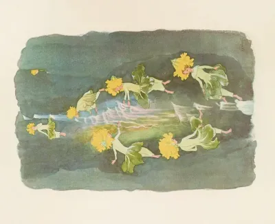 Primula Aoricula