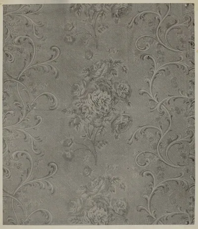 Printed Cotton 14