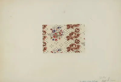 Printed Textile 24