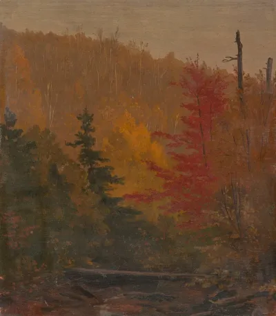 Probably Near Katahdin Autumn